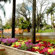 Sananduva